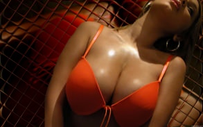 ������� ������� ������ ����� ������� � ��������� ����������